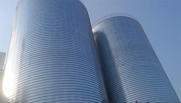 五原2座混凝土高架卷板仓